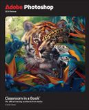Adobe Classroom in a Book 2024 Release Paperback