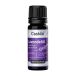 Casida Huile essentielle de lavande naturelle 10 ml