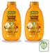 Garnier 2 x Loving Blends Shampoo met Argan- en Kameliëolie - voor droog en dof haar - 300 ml - Voordeelverpakking