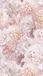 Grandeco Orom 2 - A77501 - Fontaine 159x280cm