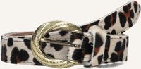 Notre-V 4312 Riemen - Bruin