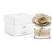 MUHA' Rose 50 ml kamergeur diffuser zachte melk