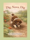 Dig, Libri GmbH Dig, Nova, Dig