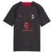 PUMA AC Milan slimfit trainingsshirt, Grijs, Maat 15-16Y