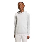 adidas uniseks-kind Entrada26 Hoodie Kids Sweatshirt, team light grey/white, 11-12 Years