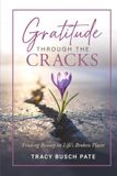 Gratitude Through the Cracks: Finding Beauty in Life's Broken Places