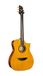 Cort LUXE II - Guitare acoustique électrique Frank Gambale Signature - naturel brillant (sac inclus)