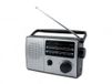 Caliber HPG317R Portable Radio - AM/FM, 3W, Black/Silver