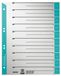 Leitz Kartonnen staffeltabbladen A4+ Blauw/Grijs 10 stuks