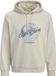 JACK & JONES JJHONOLULU SHAPE SWEAT HOOD Homme Pull M Coton/Polyester Moonbeam