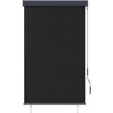 Maison Exclusive - Store roulant extérieur 100 x 250 cm anthracite