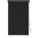 Maison Exclusive - Store roulant extérieur 100 x 250 cm anthracite