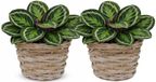 Mega Collections panier à plantes Koudum - 2x - rotin - D35 x H25 cm - brun clair/gris