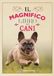 Il Touring Il magnifico libro dei cani