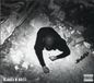 Ashes Trizz - Ashes N Dust (CD)