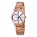Calvin Klein K4N23X46 Montre pour femme Acier inoxydable Rosé