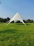 CLP XL Stertent 14 Meter Tuintent creme