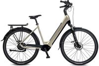 Rabeneick Comfort E-Bike Wave 51cm Champagne Gold