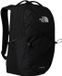The North Face 0197642254578
