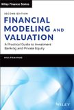 Financial Wiley Finance Financial Modeling and Valuation: A Practical Guide to Investment Banking and Private Equity