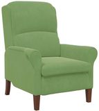vidaXL Fauteuil Lichtgroen Fluweel