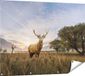 Gards Poster de jardin Cerf dans le paysage - 120x90 cm - Toile de jardin - Décoration de jardin - Décoration murale extérieure - Peinture de jardin