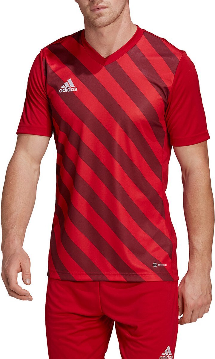 Adidas Ent22 GFX JSY Jersey voor heren