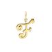 Lucardi Dames Stainless steel goldplated letterhanger - Hanger - Staal - Goudkleurig