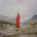 Evergreen Juni Habel - Evergeen Your Mind (LP)