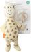 Matchstick Monkey Giftset Knuffel en Bijtring - Giraf