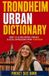 Trondheim Urban Dictionary: 500 Trøndersk Slang Words, Street Expressions, and Local Sayings Explained in English
