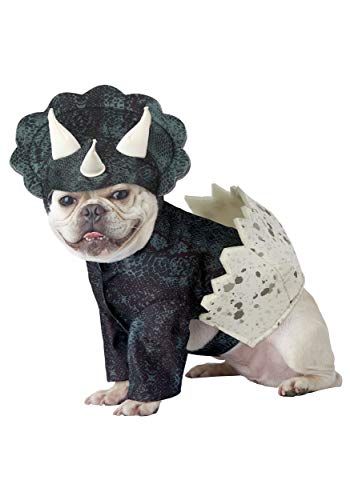 California Costumes Dino Pup Hondenkostuum - Donkergroen - Maat Groot