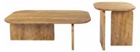 ORION Lot de 2 tables en manguier massif 100x33x55cm et 45x50x40cm