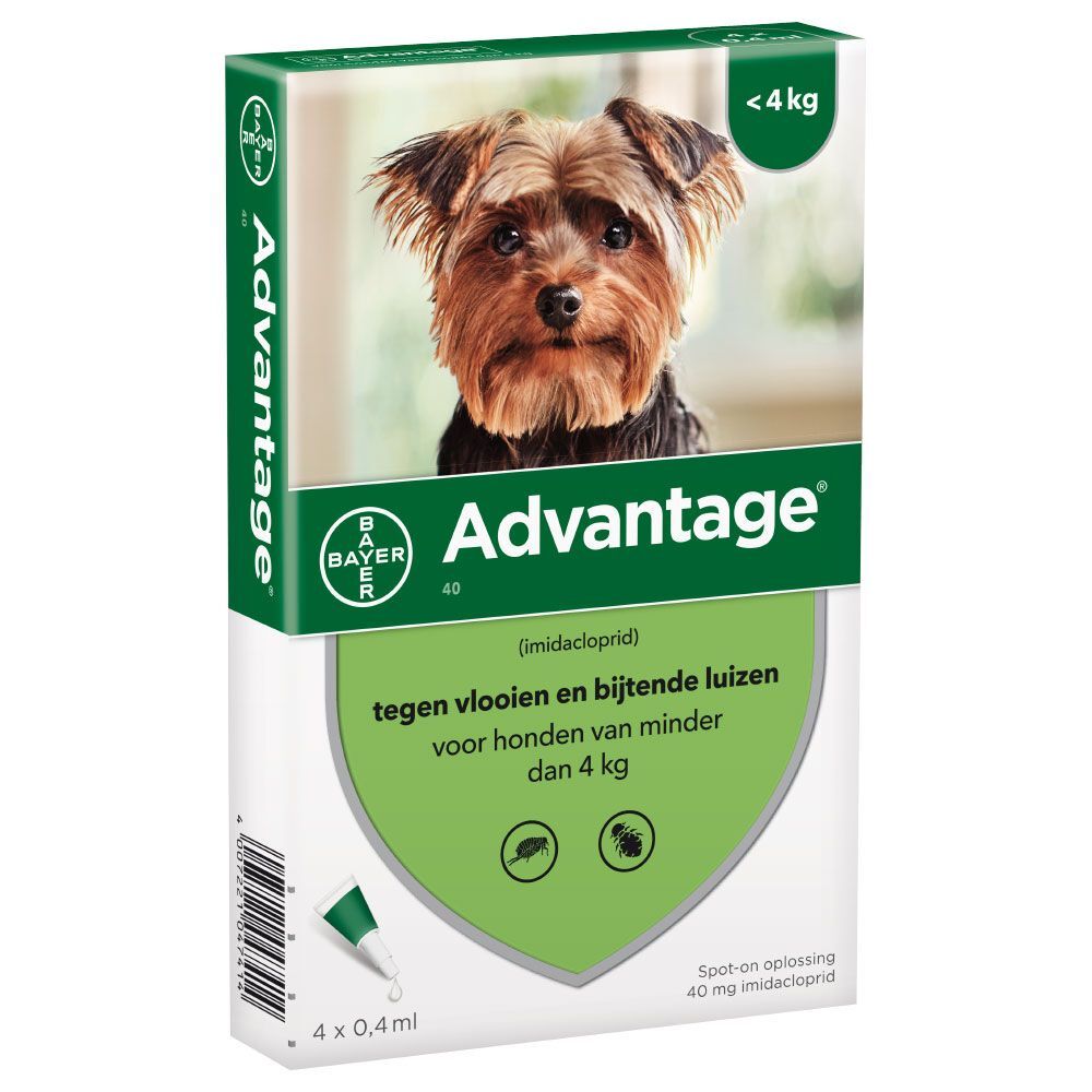 Advantage Hond 40