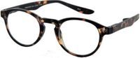 I Need You - The Frame Company I Need You G59300 Leesbril Hangover Panto +1.50 Havana