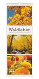 Waldleben Triplets 2027: Streifenkalender 25x69 cm mit 3 Waldmotiven pro Monat, Hochformat und Spiralbindung