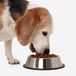 Nobleza Bol alimentaire pour chien et chat - Bol d'eau - Antidérapant - Ø21 cm - 375 ml - Taille M