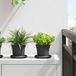 Maison Exclusive - Pot de fleurs, 6 pièces, noir, plastique
