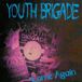 Sonic Rendezvous Better Youth Organisation Youth Brigade - Come Again (CD)