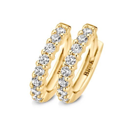 Blush Oorbellen 7134YZI - Geel Goud (14krt.) met Zirconia