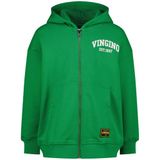 Vingino Sweat à capuche pour garçon, taille 10 de la collection SS26, vert, 10 ans