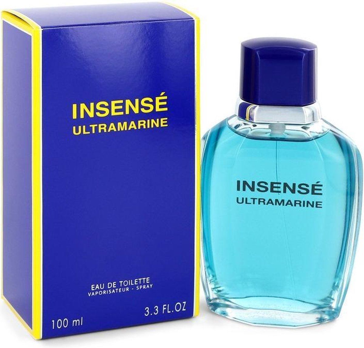 Givenchy Eau de Toilette / 100 ml / Mannen