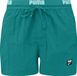 Puma Track Short Heren Zwembroek Groen Maat M