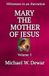 MARY Dwelling Place Publishers Witnesses to an Execution- Mary the Mother of Jesus Paperback