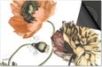 Dietrix Inductie Beschermer - 78x52cm - Botanical - DELUXE