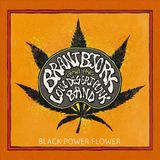 Napalm Records Black Power Flower