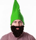 Fiestas Guirca Kabouters/dwergen verkleed set - kaboutermuts groen met zwarte lange baard - polyester - volwassenen
