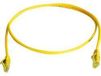 Telegärtner L00000A0294 Câble réseau RJ45, câble de brassage CAT 6 U/UTP 0,50 m Jaune