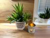 Kimmel Plantenpot, klassiek, 11 cm, wit, set van 3