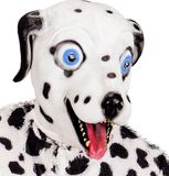 Widmann Cartoony Masker, Dalmatier